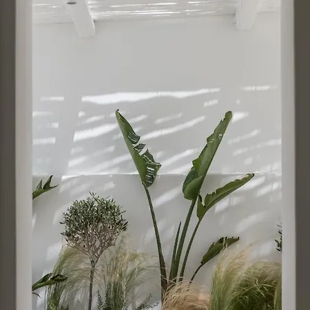 Arocaria Mykonos 4*