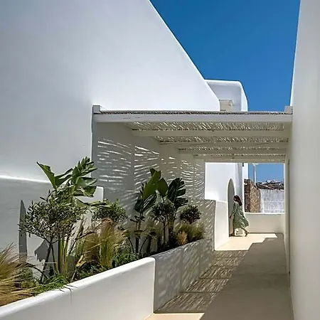 Arocaria Mykonos